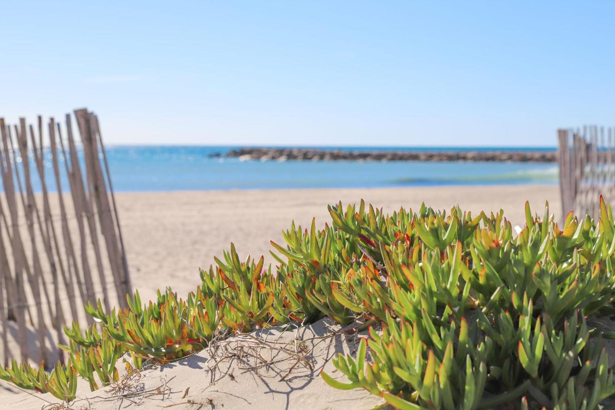 T2 Boheme Centre Ville Palavas Proche Plage Εξωτερικό φωτογραφία